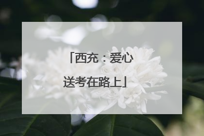 西充：爱心送考在路上