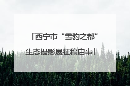 西宁市“雪豹之都”生态摄影展征稿启事