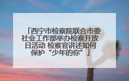 西宁市检察院联合市委社会工作部举办检察开放日活动 检察官讲述如何保护“少年的你”