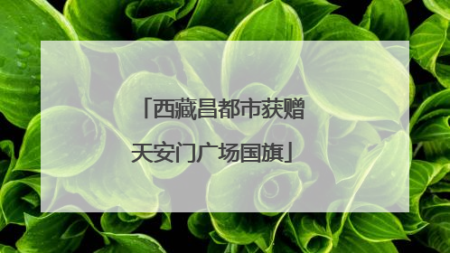 西藏昌都市获赠天安门广场国旗