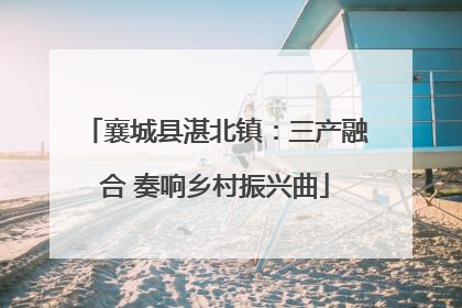 襄城县湛北镇：三产融合 奏响乡村振兴曲