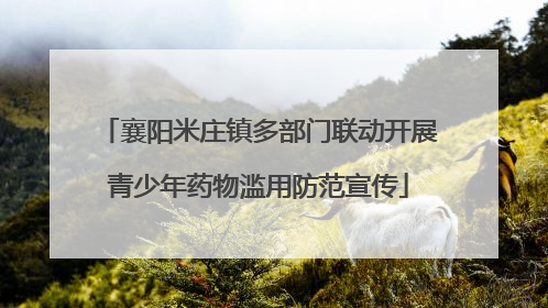 襄阳米庄镇多部门联动开展青少年药物滥用防范宣传
