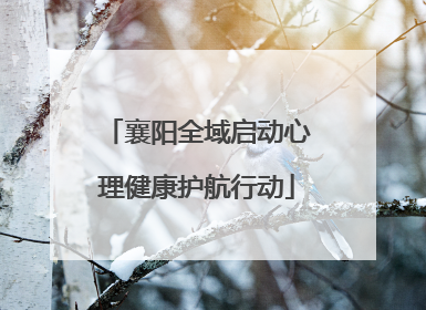 襄阳全域启动心理健康护航行动