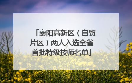 襄阳高新区（自贸片区）两人入选全省首批特级技师名单