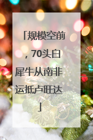 规模空前，70头白犀牛从南非运抵卢旺达