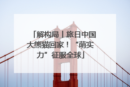 解构局丨旅日中国大熊猫回家！“萌实力”征服全球