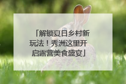 解锁夏日乡村新玩法！秀洲这里开启露营美食盛宴
