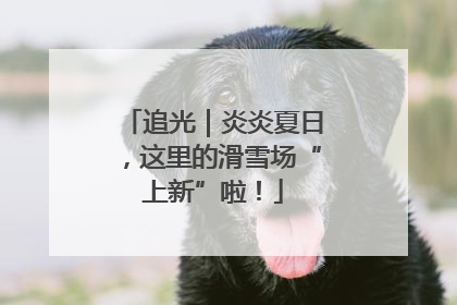 追光｜炎炎夏日，这里的滑雪场“上新”啦！