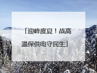 迎峰度夏！战高温保供电守民生