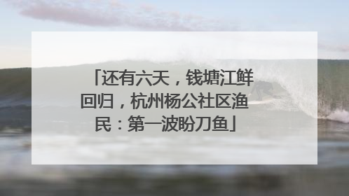 还有六天，钱塘江鲜回归，杭州杨公社区渔民：第一波盼刀鱼