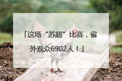 这场“苏超”比赛，省外观众6902人！