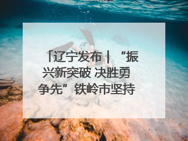 辽宁发布｜“振兴新突破 决胜勇争先”铁岭市坚持“项目为王”推进经济高质量发展