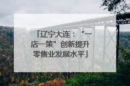 辽宁大连：“一店一策”创新提升零售业发展水平