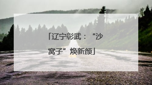 辽宁彰武：“沙窝子”焕新颜