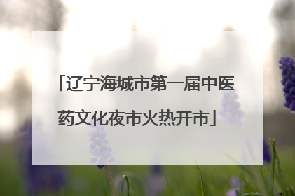 辽宁海城市第一届中医药文化夜市火热开市