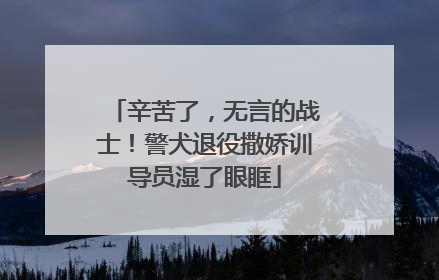 辛苦了，无言的战士！警犬退役撒娇训导员湿了眼眶
