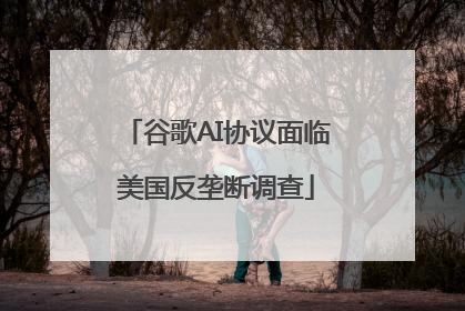 谷歌AI协议面临美国反垄断调查