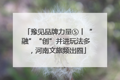 豫见品牌力量⑤丨“融”“创”并进玩法多，河南文旅频出圈