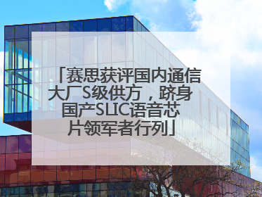 赛思获评国内通信大厂S级供方，跻身国产SLIC语音芯片领军者行列