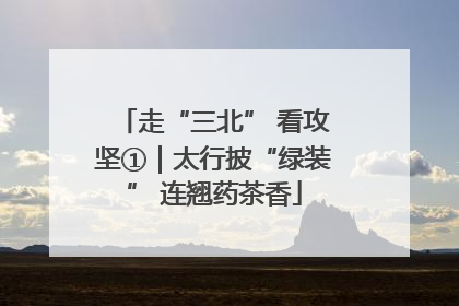 走“三北” 看攻坚①｜太行披“绿装” 连翘药茶香