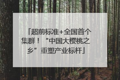 超前标准+全国首个集群！“中国大樱桃之乡”重塑产业标杆