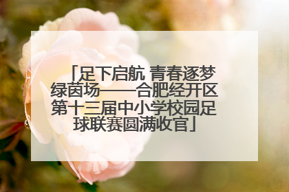 足下启航 青春逐梦绿茵场——合肥经开区第十三届中小学校园足球联赛圆满收官