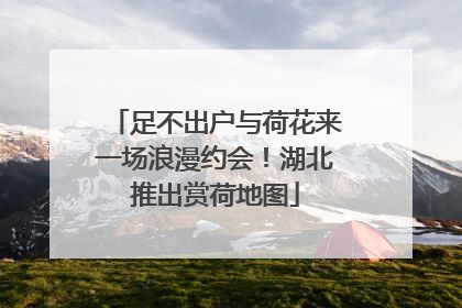 足不出户与荷花来一场浪漫约会！湖北推出赏荷地图