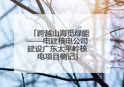 跨越山海觅绿能——电建核电公司建设广东太平岭核电项目侧记