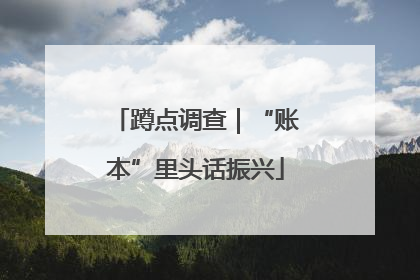 蹲点调查｜“账本”里头话振兴