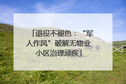 退役不褪色：“军人作风”破解无物业小区治理顽疾