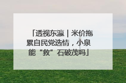 透视东瀛｜米价拖累自民党选情，小泉能“救”石破茂吗