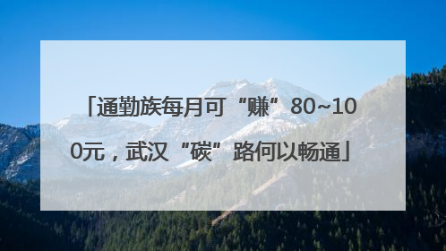 通勤族每月可“赚”80~100元，武汉“碳”路何以畅通