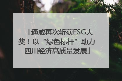 通威再次斩获ESG大奖！以“绿色标杆”助力四川经济高质量发展