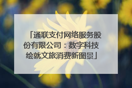 通联支付网络服务股份有限公司：数字科技绘就文旅消费新图景