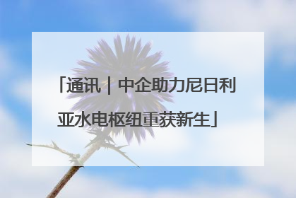 通讯｜中企助力尼日利亚水电枢纽重获新生