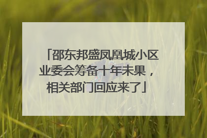 邵东邦盛凤凰城小区业委会筹备十年未果，相关部门回应来了