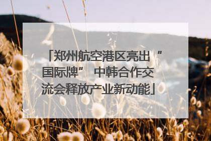 郑州航空港区亮出“国际牌” 中韩合作交流会释放产业新动能