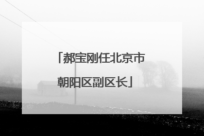 郝宝刚任北京市朝阳区副区长