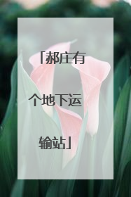 郝庄有个地下运输站
