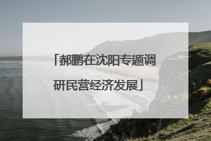 郝鹏在沈阳专题调研民营经济发展