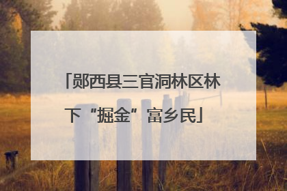 郧西县三官洞林区林下“掘金”富乡民