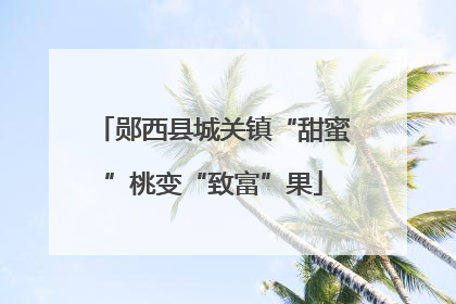 郧西县城关镇“甜蜜”桃变“致富”果