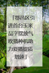鄠邑区引进首台玉米品字摆放气吹播种机助力夏播提质增速