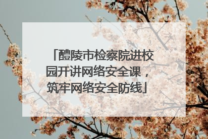 醴陵市检察院进校园开讲网络安全课，筑牢网络安全防线