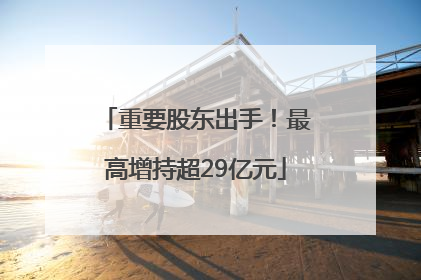 重要股东出手！最高增持超29亿元