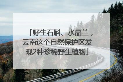 野生石斛、水晶兰，云南这个自然保护区发现2种珍稀野生植物