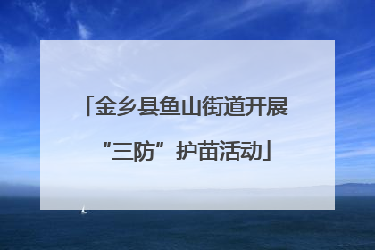 金乡县鱼山街道开展“三防”护苗活动
