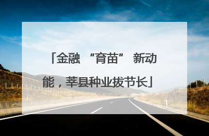 金融 “育苗” 新动能，莘县种业拔节长