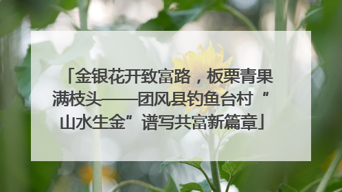 金银花开致富路，板栗青果满枝头——团风县钓鱼台村“山水生金”谱写共富新篇章