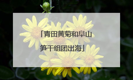 青田黄菊和阜山笋干组团出海